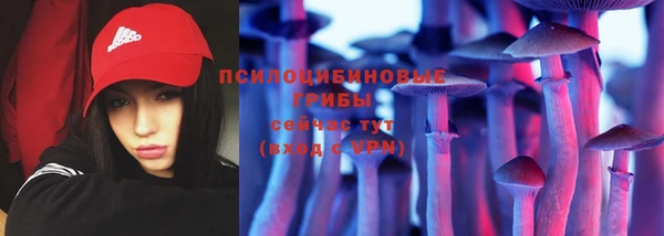 кристаллы Инта