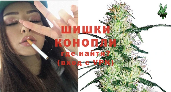 винт Инсар