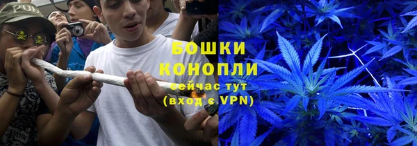 винт Инсар